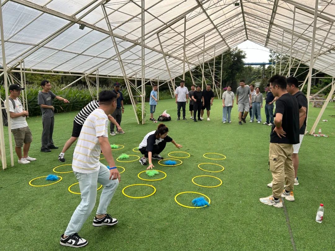 1694152539710768.jpg 13.jpg